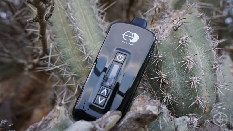 Eclipse Herb Vaporizer in cactus