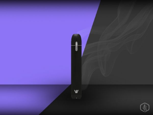 The highly popular My Von Erl pod vape, fully reviewed Image