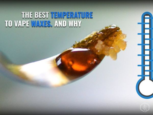 Best temperature to vape waxes and why Image
